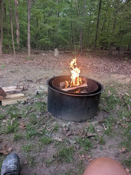 Prince William Forest RV Campground 5