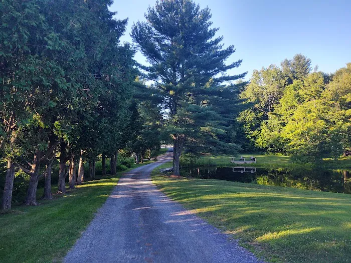 Aurora B's Family Campground 4