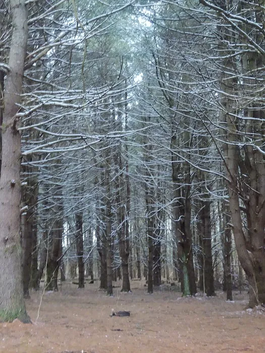 Aurora B's Family Campground 3