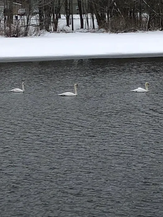 Riverview mobile court llc 6