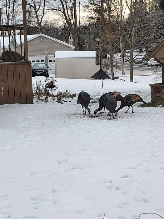 Silver Rock Mobile Home Park 1