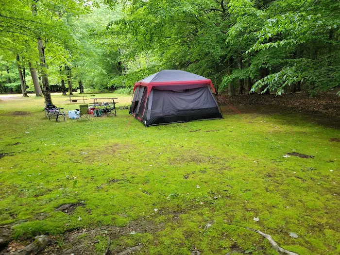 Pleasant Lake Campground 5