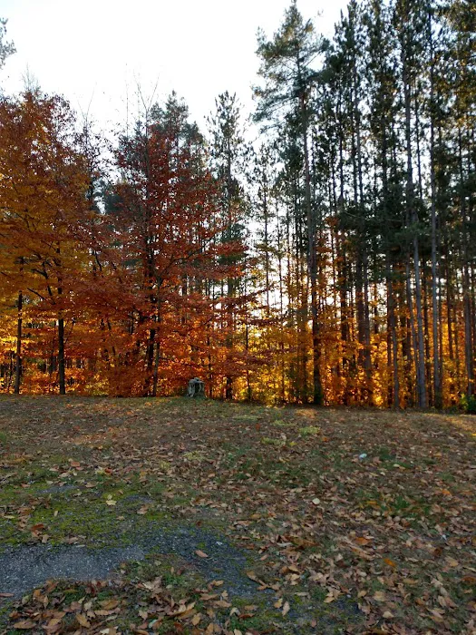 Conifer Mobile Village 2