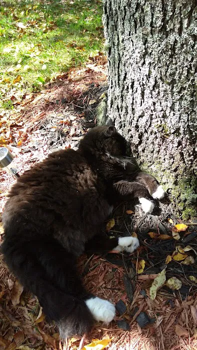 Hidden Acres Campground 1