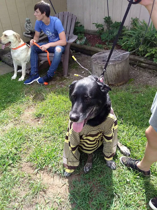 Hidden Acres Campground 9