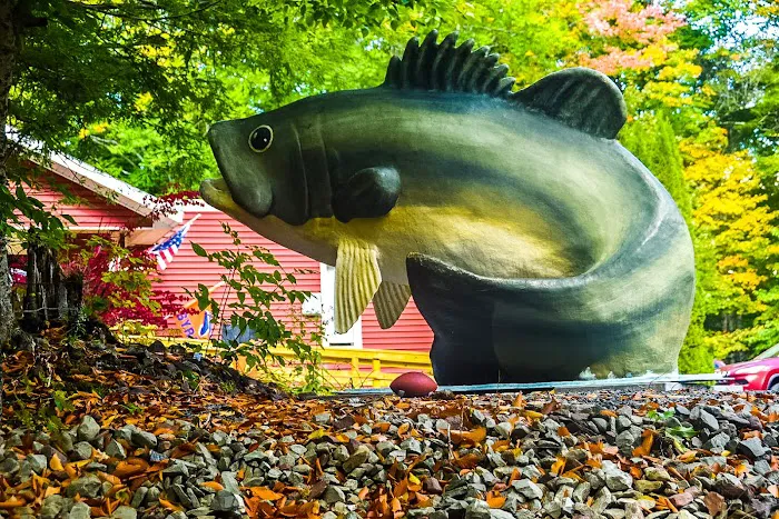 Bass Lake Resort & RV Campgrounds New York 4