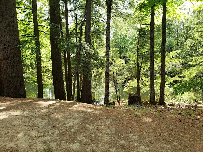 Lake View Cottages 2