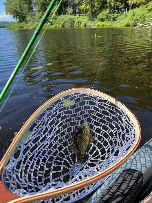 Moffitt Beach State Campground 2