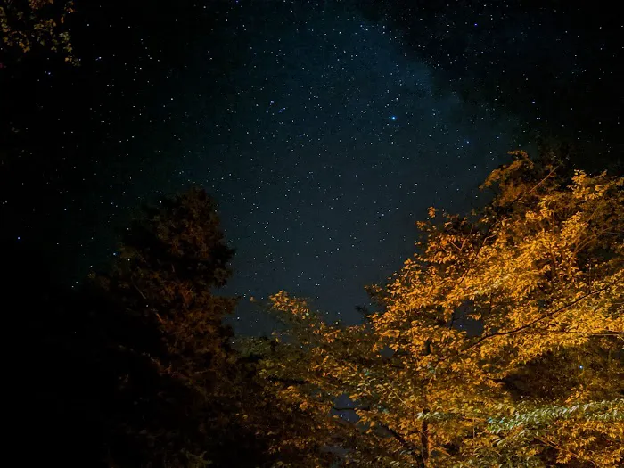 Moffitt Beach State Campground 5