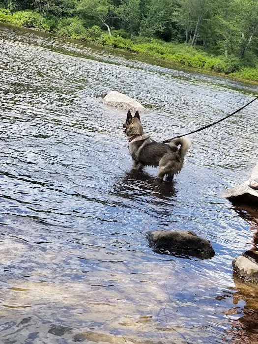Moffit Beach Campground 5