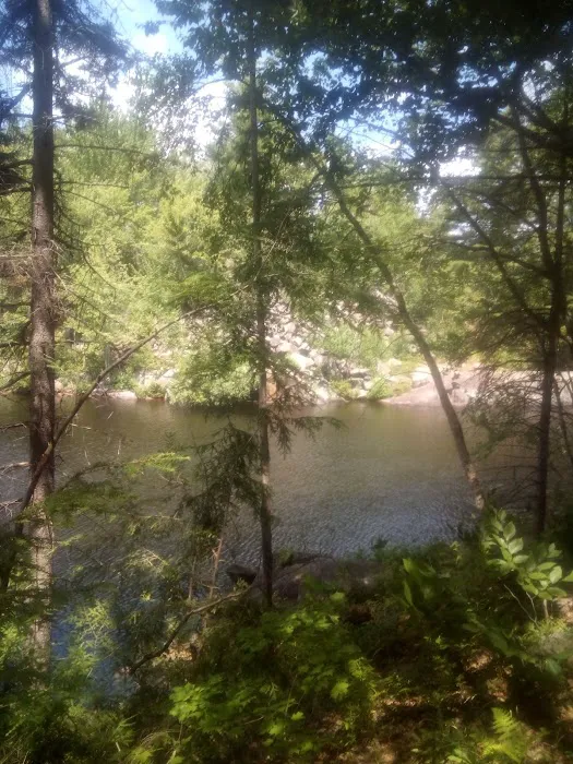 Soft Maple Campground 1