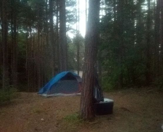 Soft Maple Campground