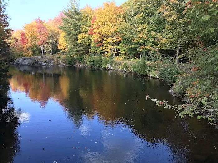 Soft Maple Campground 3