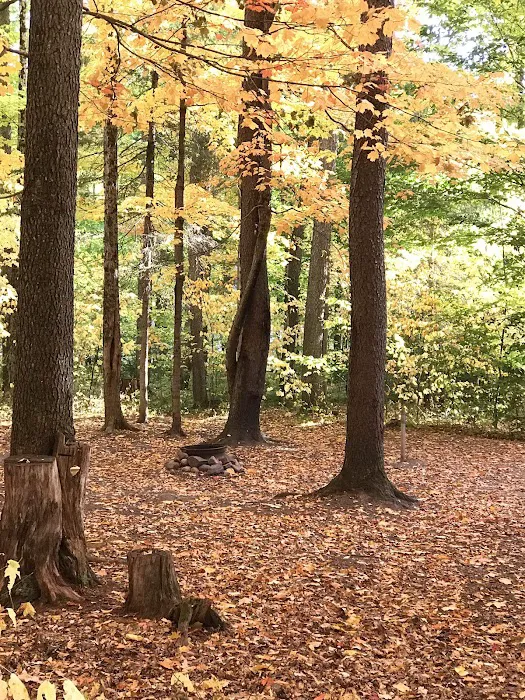 Soft Maple Campground 4