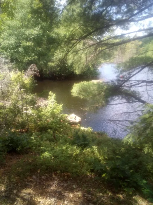 Soft Maple Campground 8