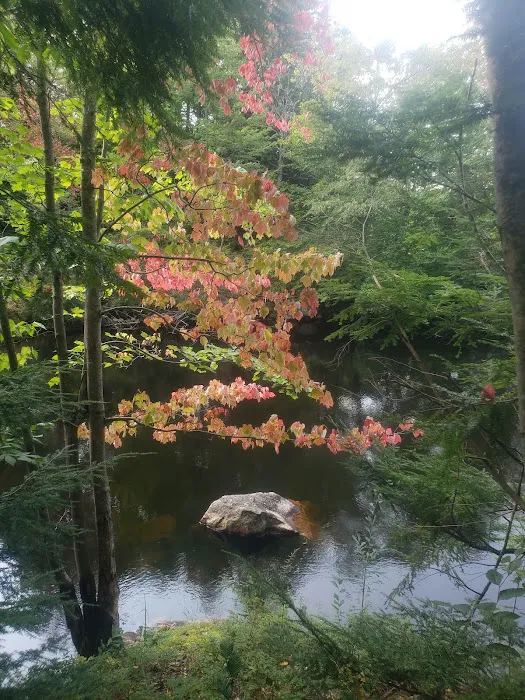 Soft Maple Campground 7