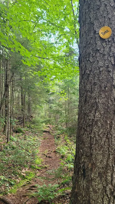 Limekiln campground nature trail 0