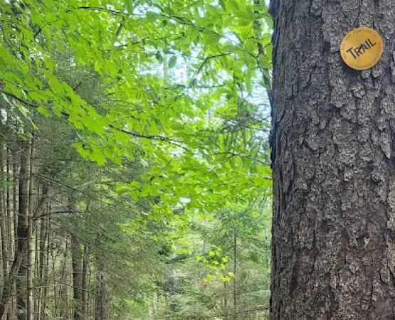 Limekiln campground nature trail