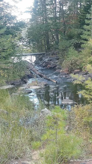 Limekiln campground nature trail 7