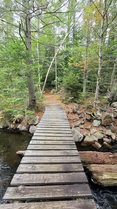Limekiln campground nature trail 1