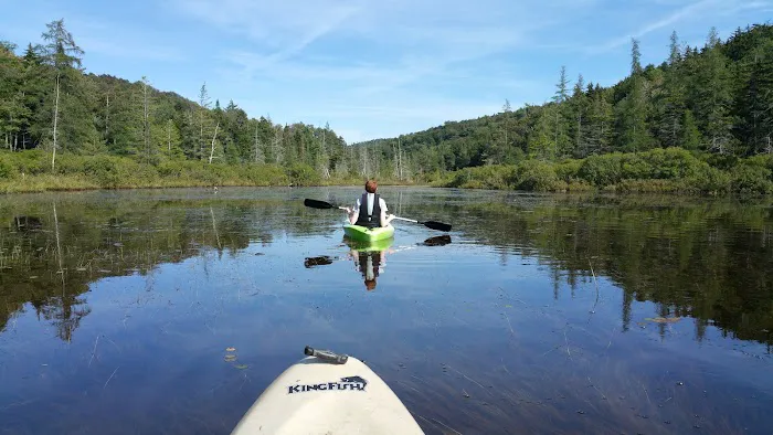 Limekiln State Campground 4