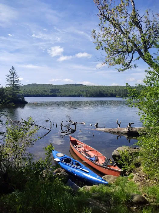 Limekiln State Campground 4