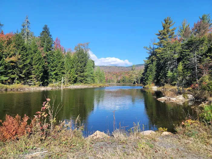 Moose River Plains visitor sign in. 9