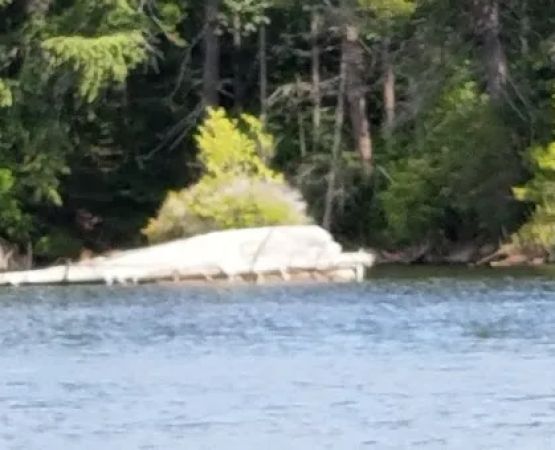 Moose River Plains visitor sign in.
