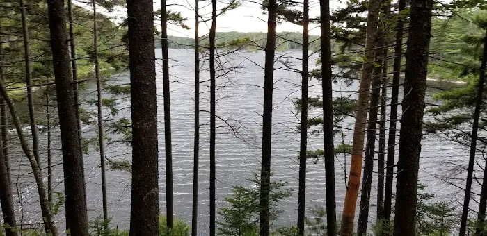 Moose River Plains visitor sign in. 2