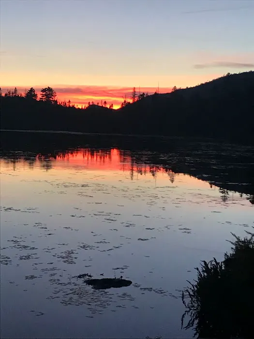 Moose River Plains visitor sign in. 6