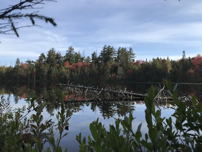 Moose River Plains visitor sign in. 8