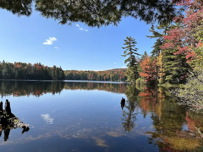 Eighth Lake Campground 4