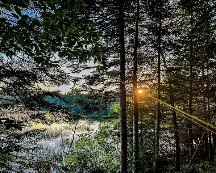 Brown Tract Pond Campground 7