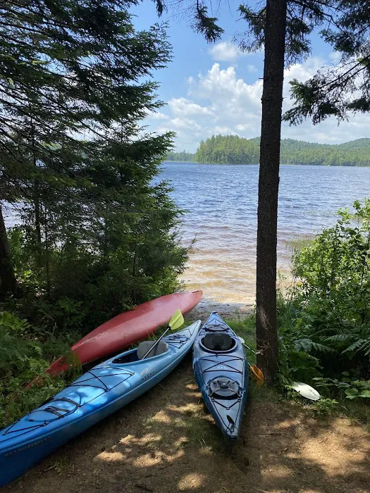 Brown Tract Pond Campground 2