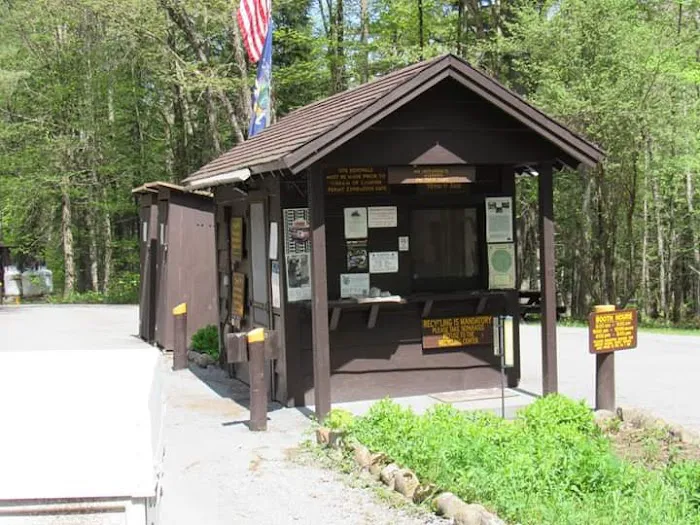 Brown Tract Pond Campground 4