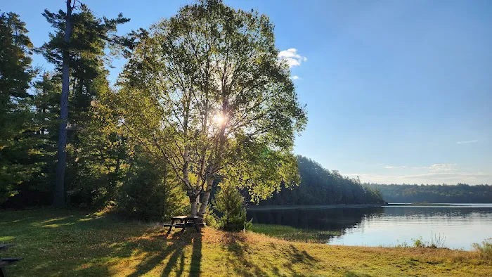 Tioga Point Campground 9