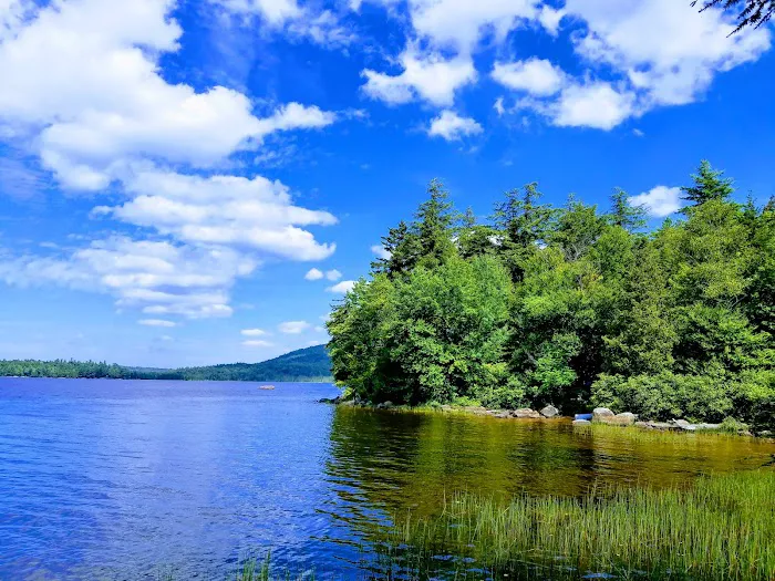 Tioga Point Campground 8