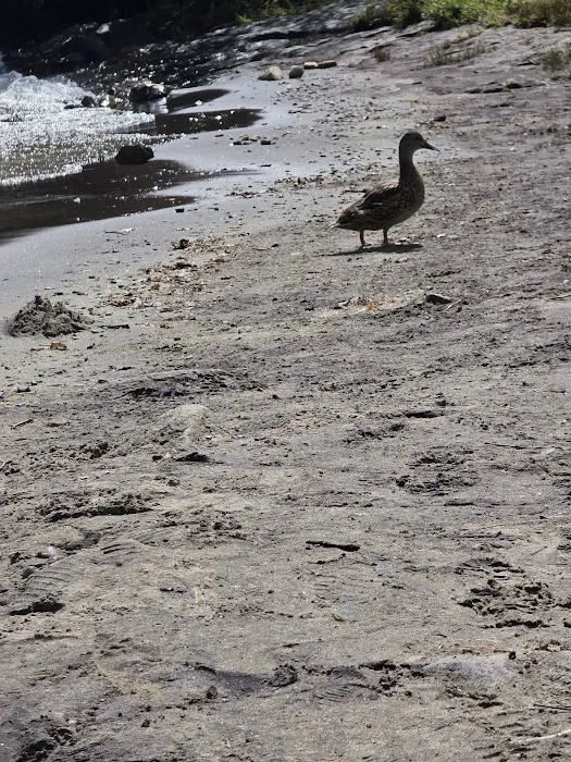 Hearthstone Point Campground 2