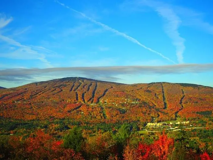 Caton Place Campground 8