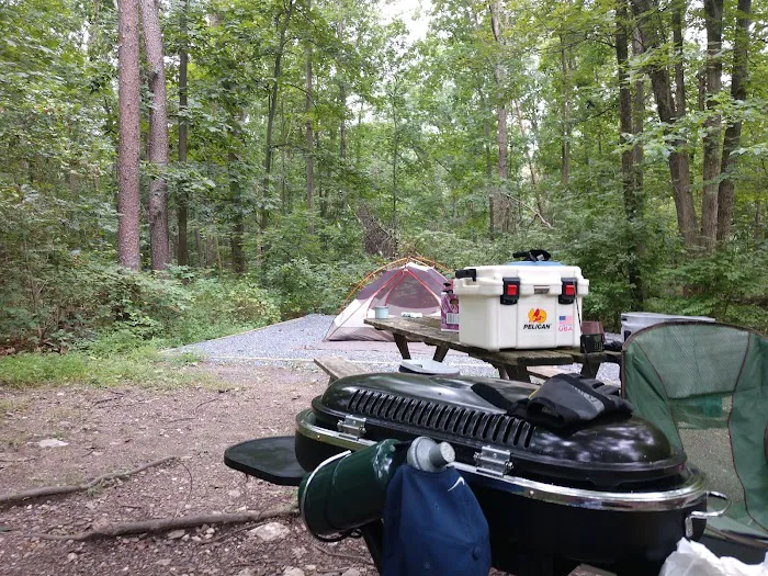 Little Bennett Campground Loop A Tent Area 7