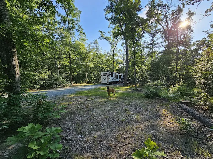 Little Bennett Campground Loop A Tent Area 4