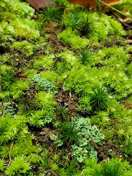 Natural Resources Department 7