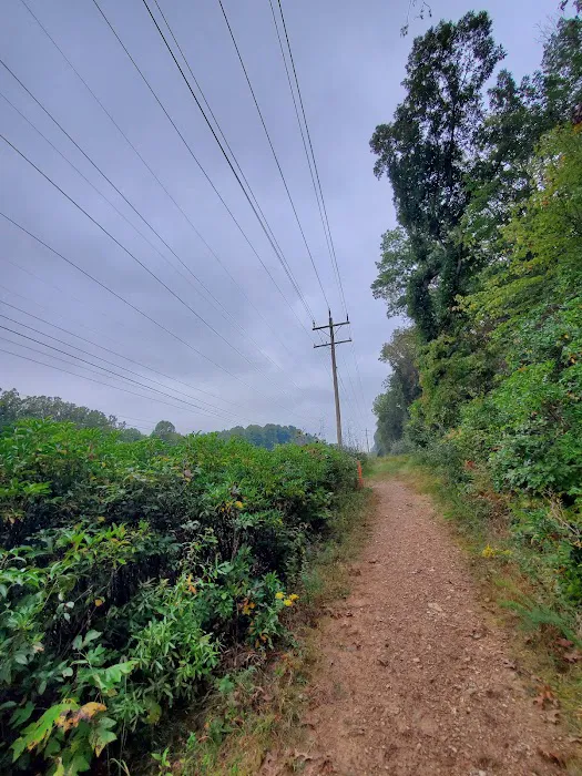 Natural Resources Department 2