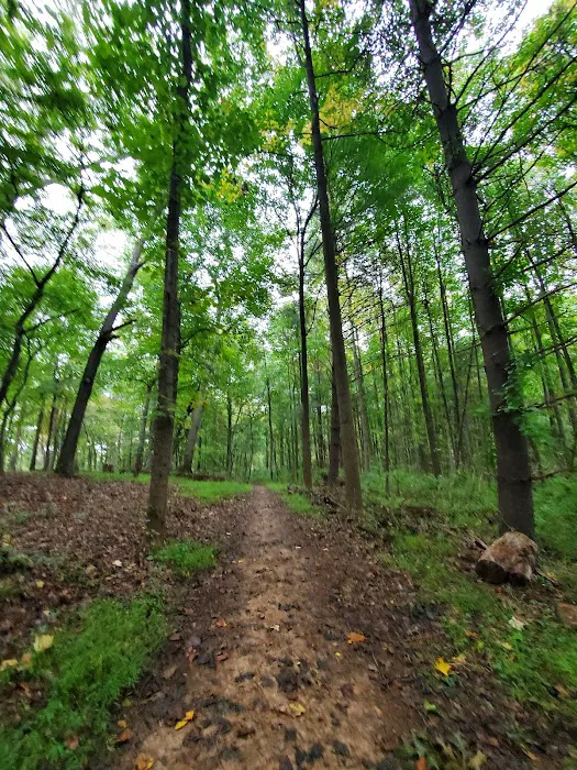 Natural Resources Department 9