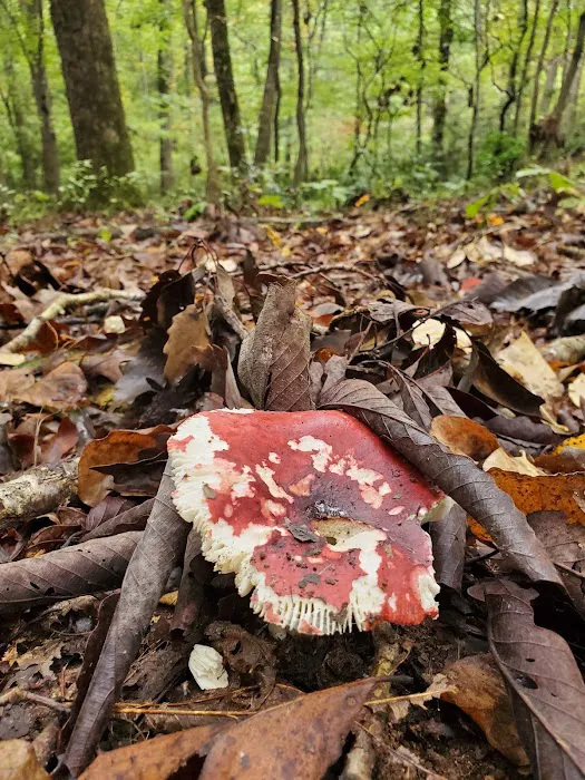 Natural Resources Department 5