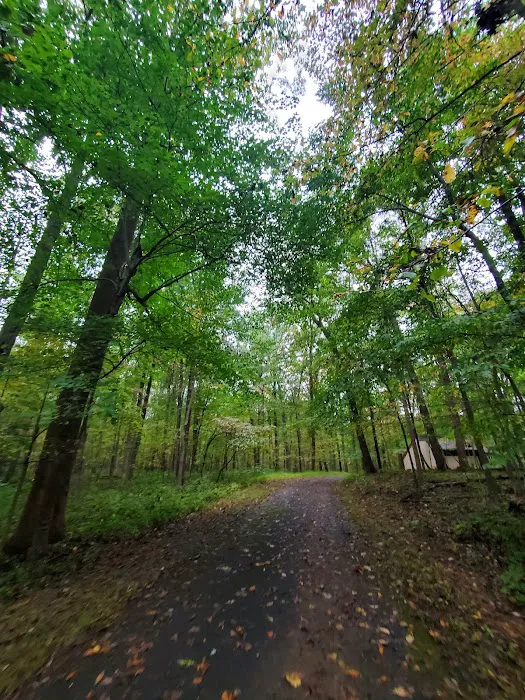 Natural Resources Department 6