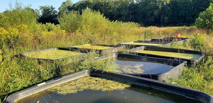 Natural Resources Department 1