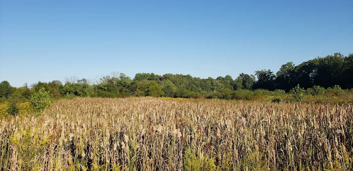 Natural Resources Department 3