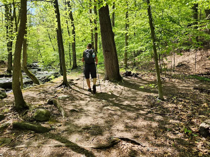 Manor Area - Cunningham Falls State Park 2