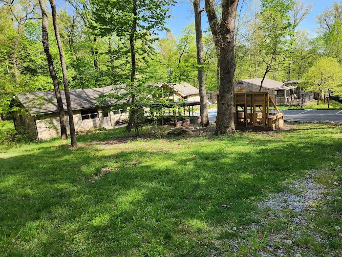 Manor Area - Cunningham Falls State Park 7